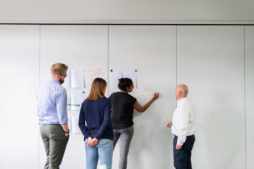 ERP Consultation